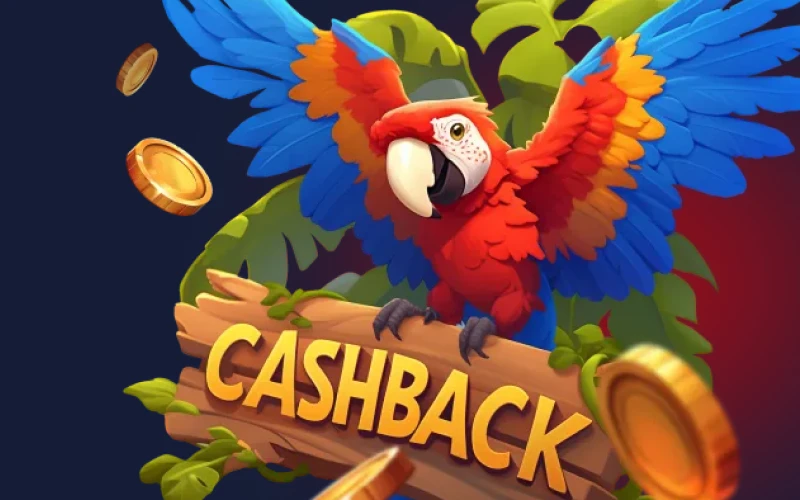 Utilice el bono Cashback Semanal en el casino en línea Nine Casino.